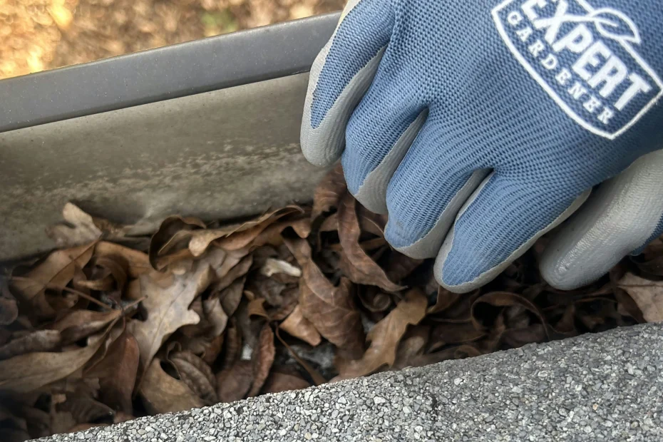 Piney Point Village Gutter Cleaning